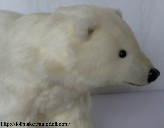 Polar bear