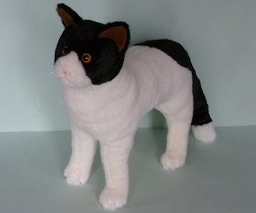 realistic cat sewing pattern