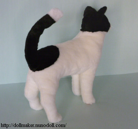 Bicolor cat back