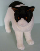 Stuffed bicolor cat