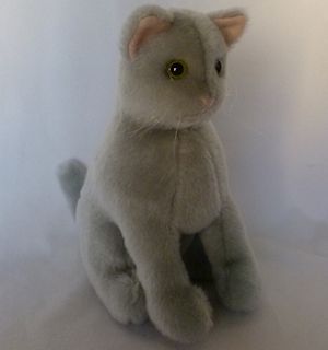 Gray cat