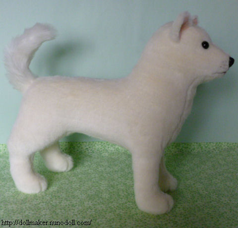 White Japanese dog