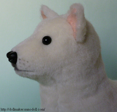 White dog with round eyes