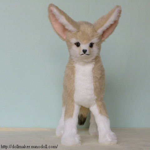 Fennec front