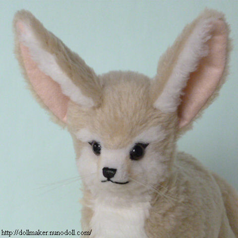 Fennec fox