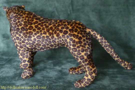 Leopard back