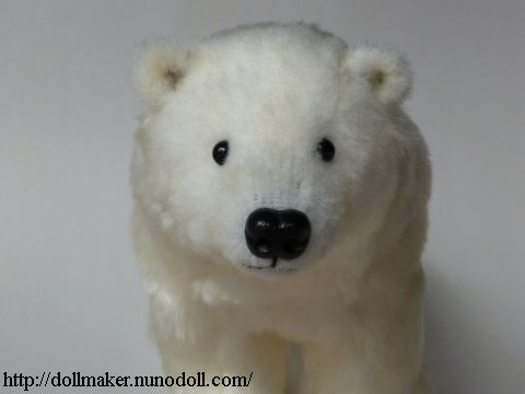 Polar bear front