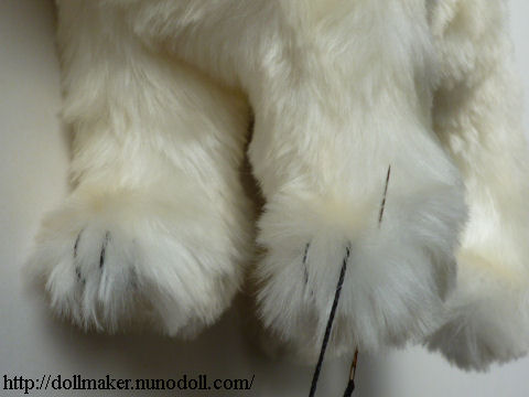 Polar bear toes