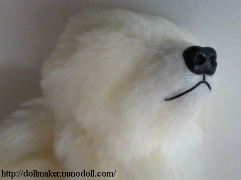 Nose of polar bear