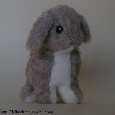 Lop ear rabbit