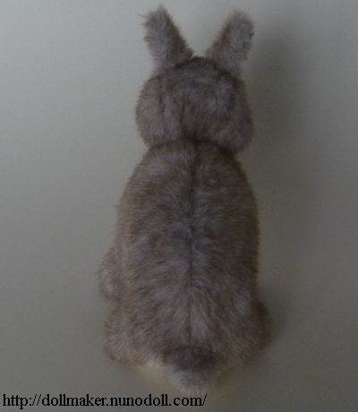Rabbit back