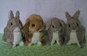 Stuffed rabbits